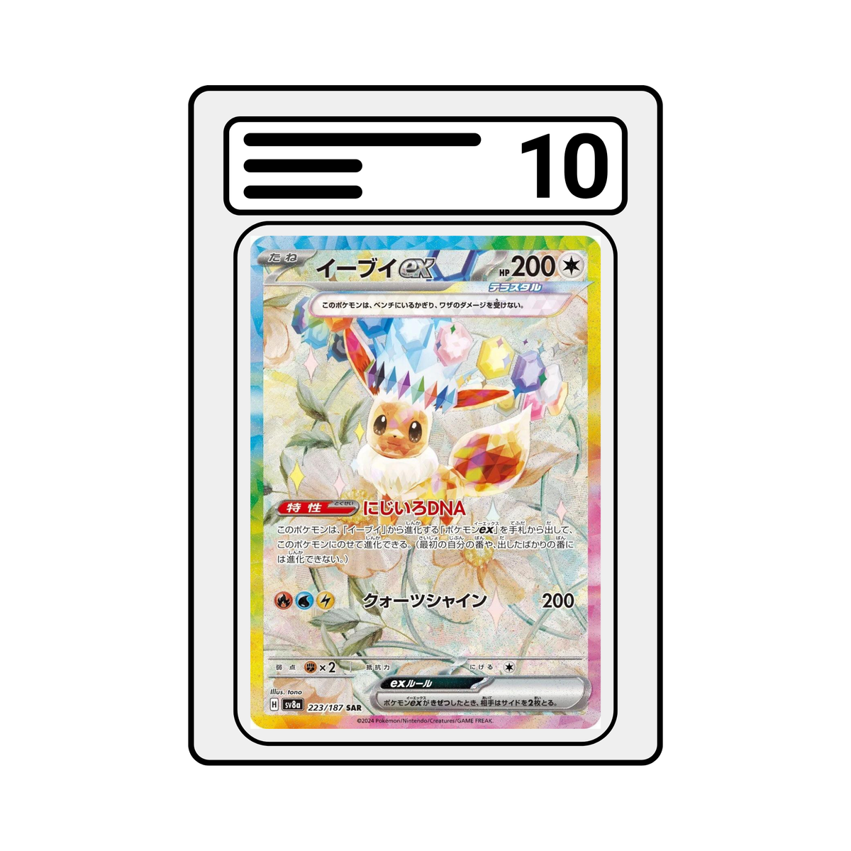 Graded Karte Pokemon | Terastal Festival ex sv8a | Eevee ex 223